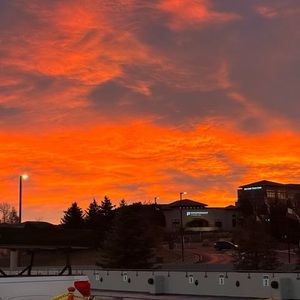 Meet your Posher, Levin